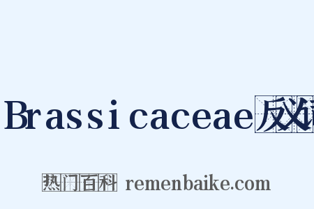 Brassicaceae反义词是什么意思的图片